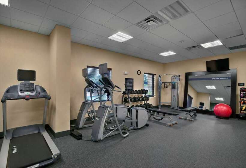 فندق Hampton Inn & Suites Tampa Northwest/oldsmar