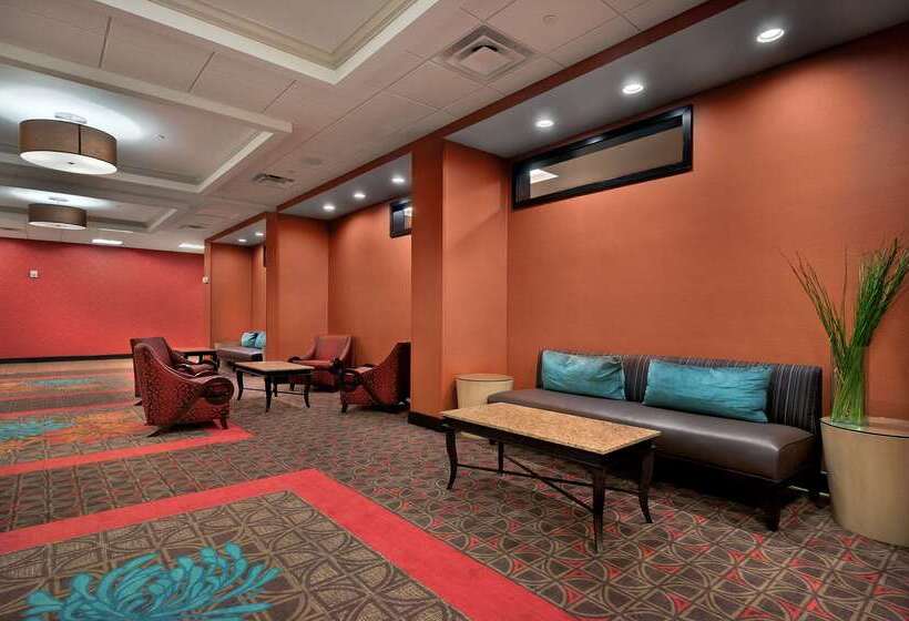 فندق Hampton Inn & Suites Tampa Northwest/oldsmar