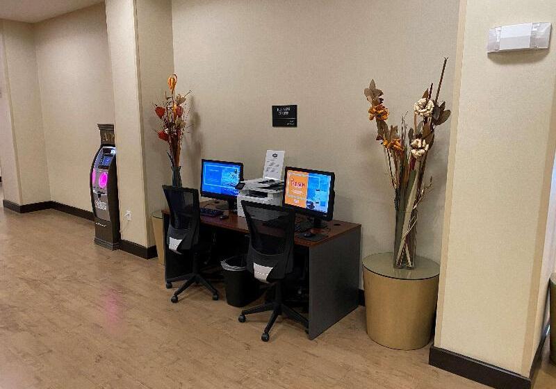 فندق Hampton Inn & Suites Tampa Northwest/oldsmar