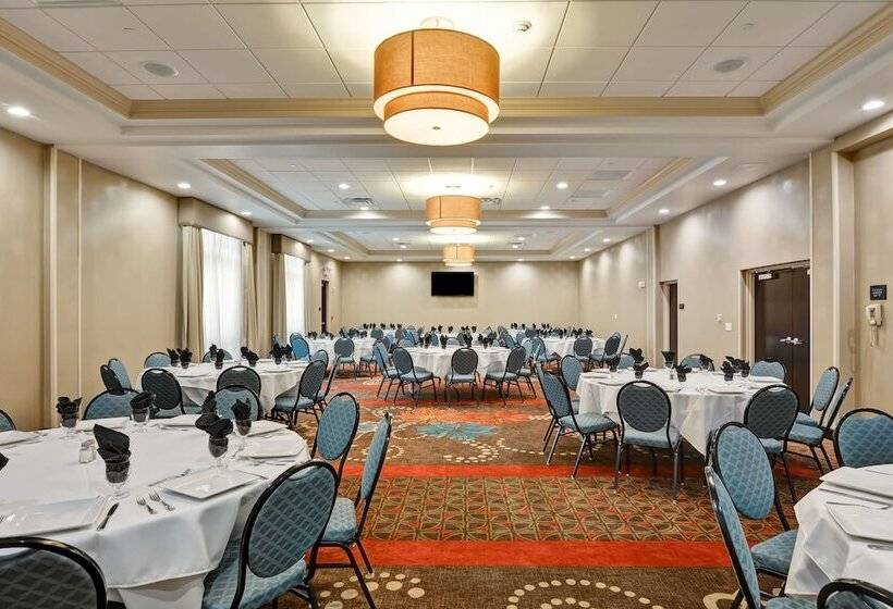 فندق Hampton Inn & Suites Tampa Northwest/oldsmar