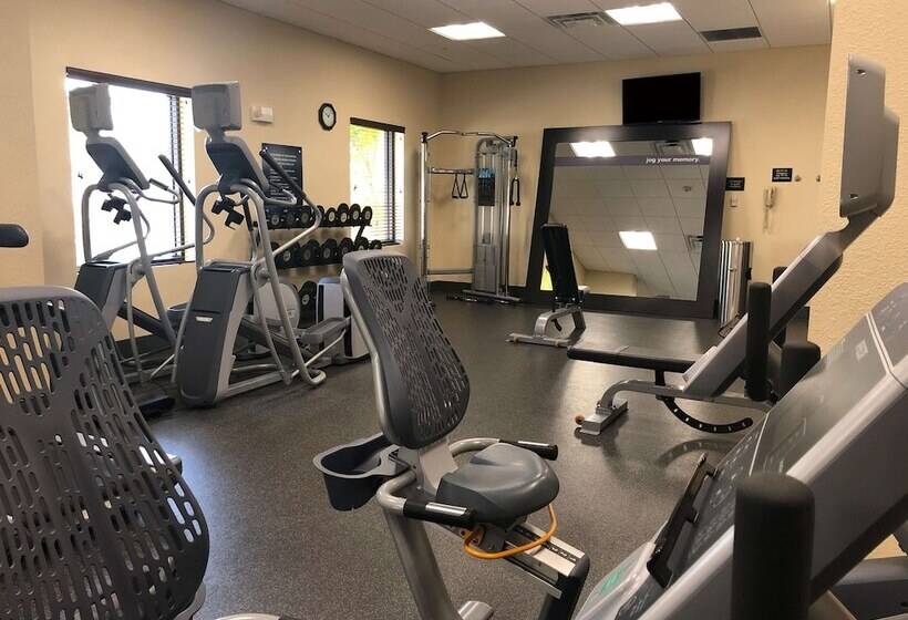 فندق Hampton Inn & Suites Tampa Northwest/oldsmar
