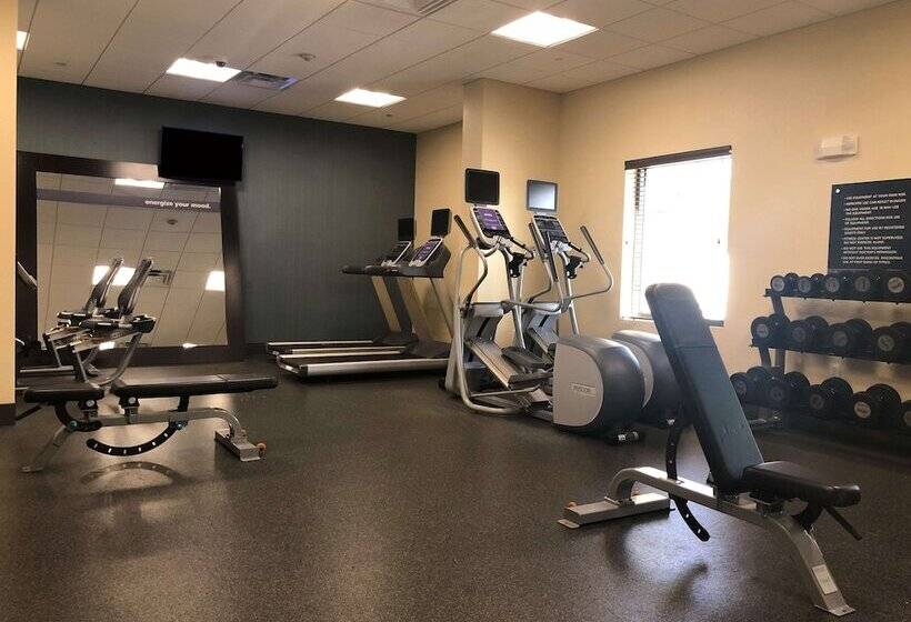 فندق Hampton Inn & Suites Tampa Northwest/oldsmar