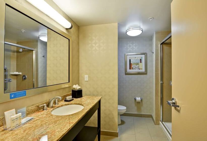 فندق Hampton Inn & Suites Tampa Northwest/oldsmar