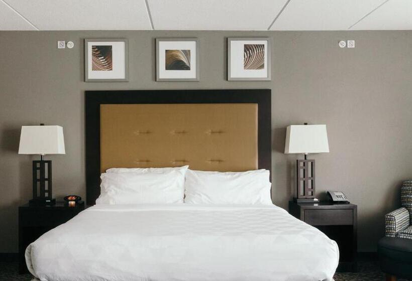 בית מלון כפרי Holiday Inn And Suites East Peoria, An Ihg