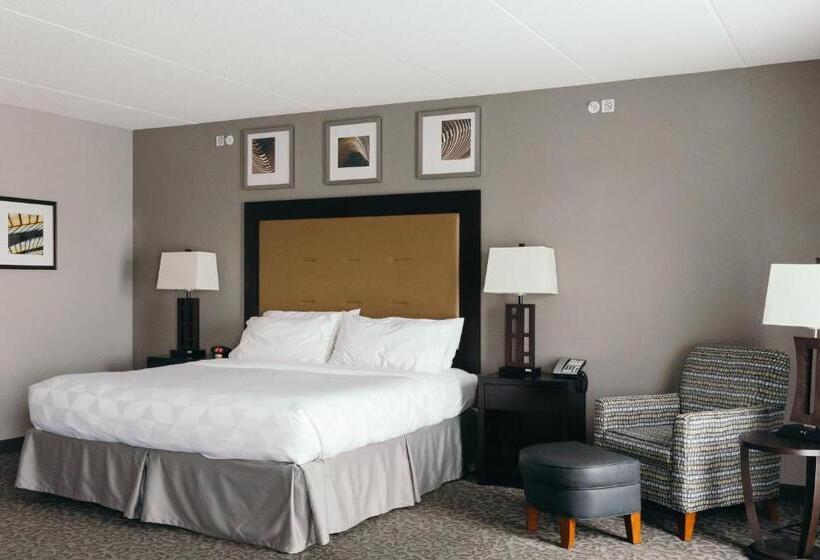 בית מלון כפרי Holiday Inn And Suites East Peoria, An Ihg