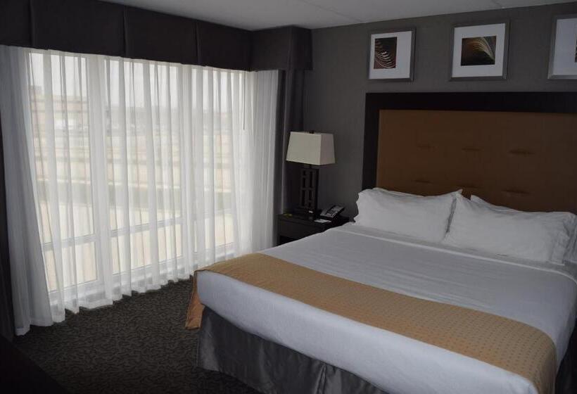 בית מלון כפרי Holiday Inn And Suites East Peoria, An Ihg