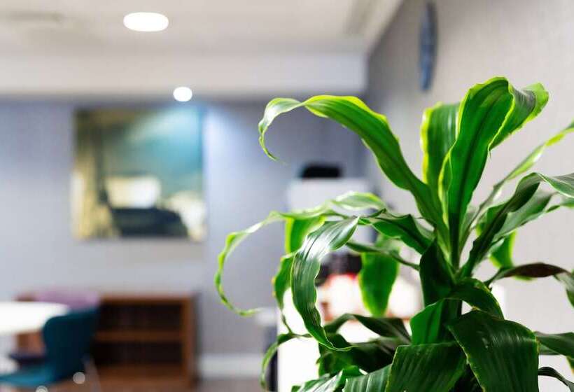 酒店 Holiday Inn Express Birmingham   Snow Hill, An Ihg