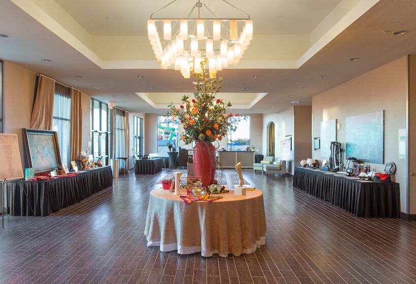 酒店 Holiday Inn Texarkana Arkansas Convention Center, An Ihg