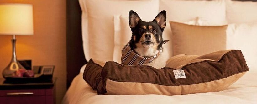 هتل Hyatt Place Chicago South/university Medical Center