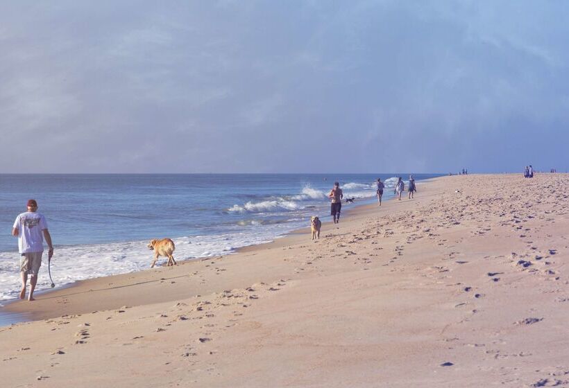 فندق Hyatt Place Dewey Beach