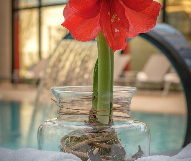 Kyriad Prestige Lyon Est   Saint Priest Eurexpo Hotel And Spa