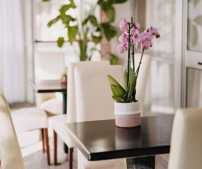 فندق Lalla Beauty & Relax