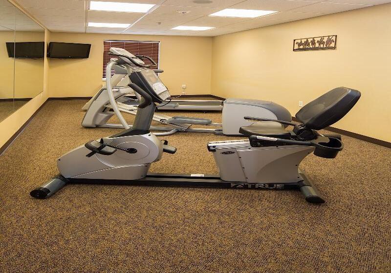 هتل Mainstay Suites Rapid City