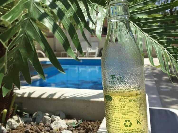 בית מלון כפרי Nelson