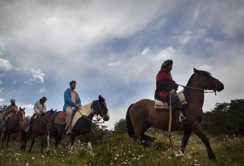 فندق Noi Indigo Patagonia