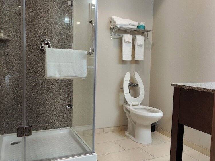 Roosevelt Hotel   Undergoing Improvements