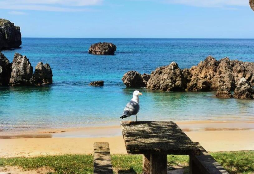 乡村酒店  El Texeu