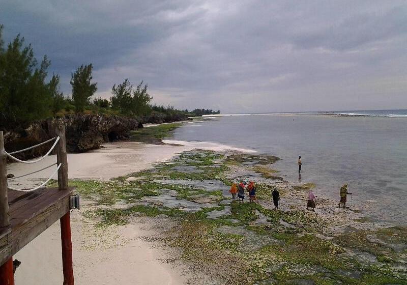 酒店 Sunshine Marine Lodge