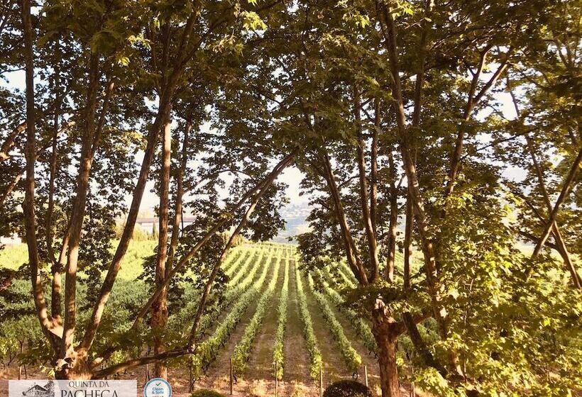 The Wine House Hotel   Quinta Da Pacheca
