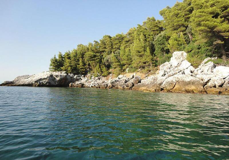 هتل Xenia Residence & Suites