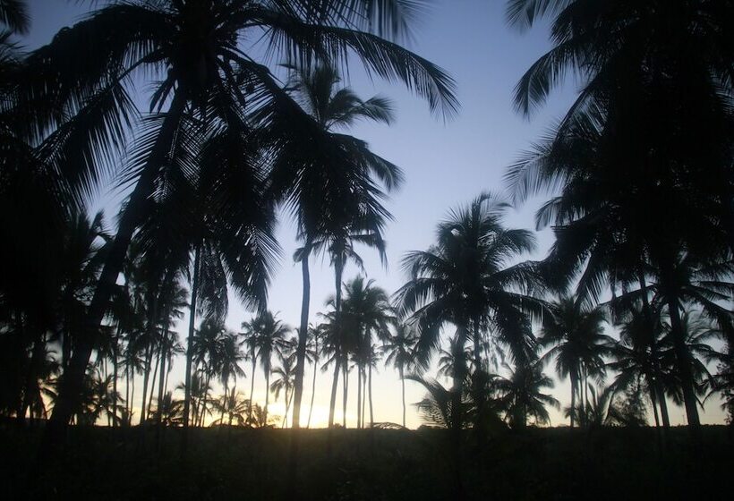 酒店 Zanzibar House