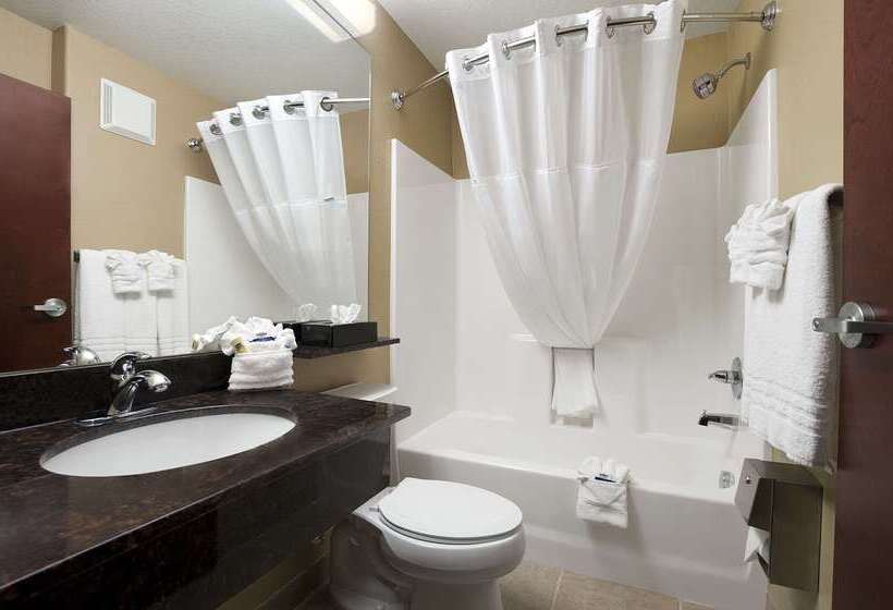 בית מלון כפרי Sonesta Essential Gonzales Tx