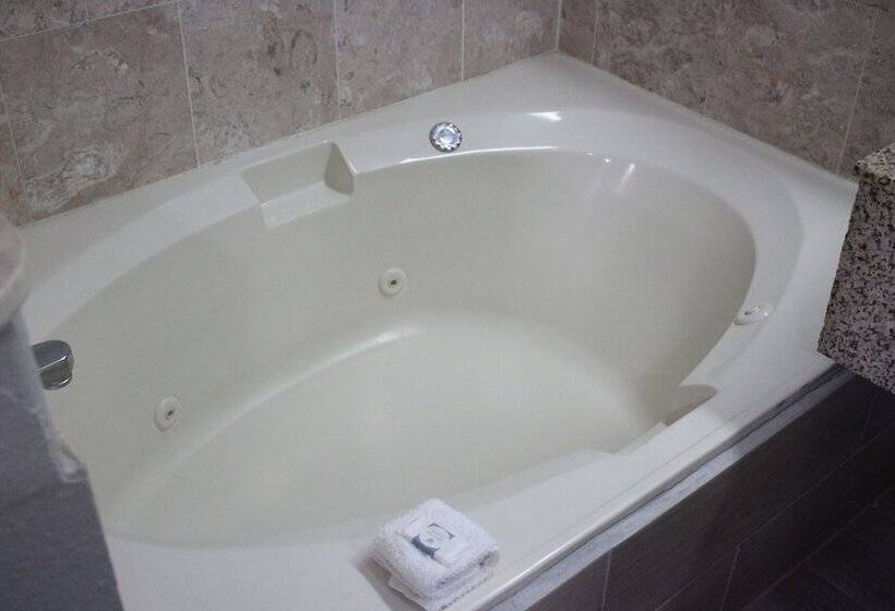 モーテル Cotulla Executive Inn