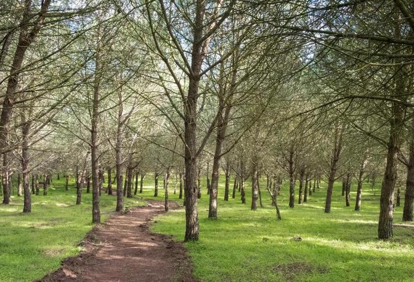 Quinta Dos Machados Countryside Hotel & Spa