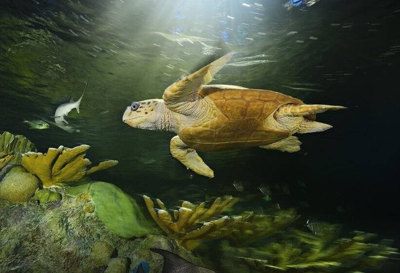 Residence Inn By Marriott Boston Downtown Seaport