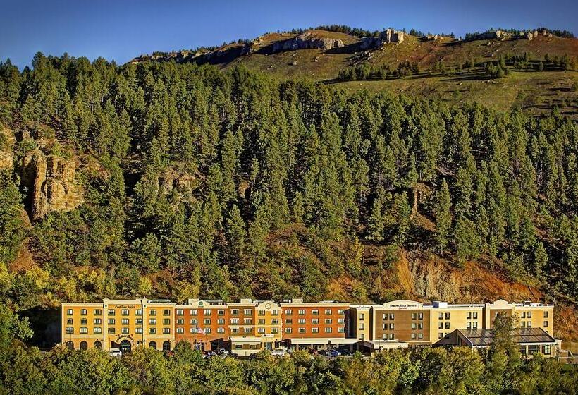 Springhill Suites By Marriott Deadwood