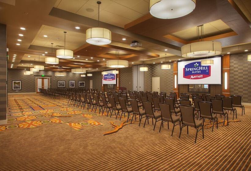 Springhill Suites By Marriott Deadwood