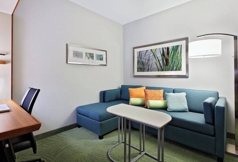 Springhill Suites By Marriott Pensacola