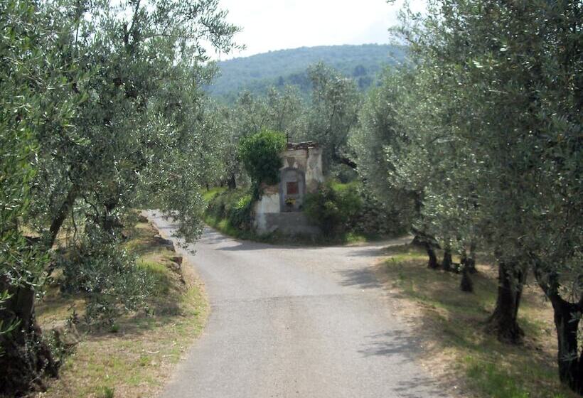 Agriturismo Il Colle