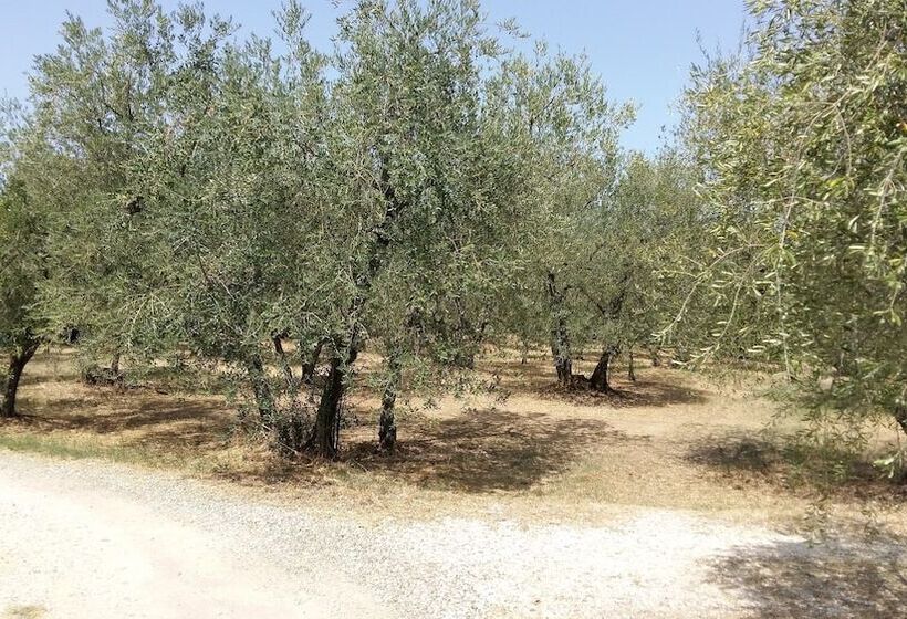 Agriturismo Il Colle