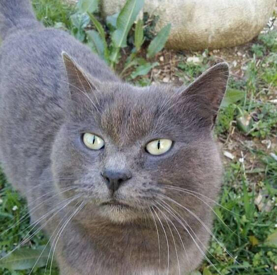 Agriturismo Il Colle