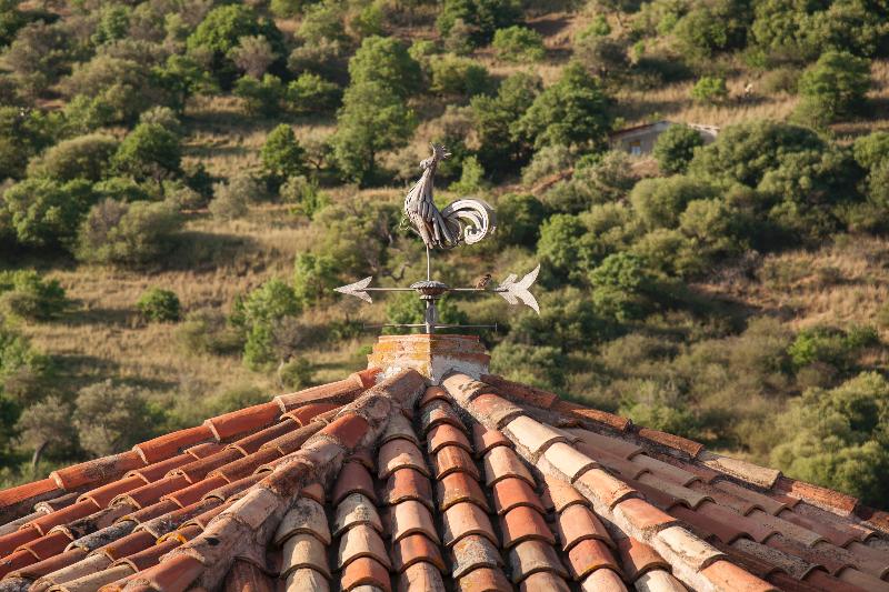 Azienda Agrituristica Bergi