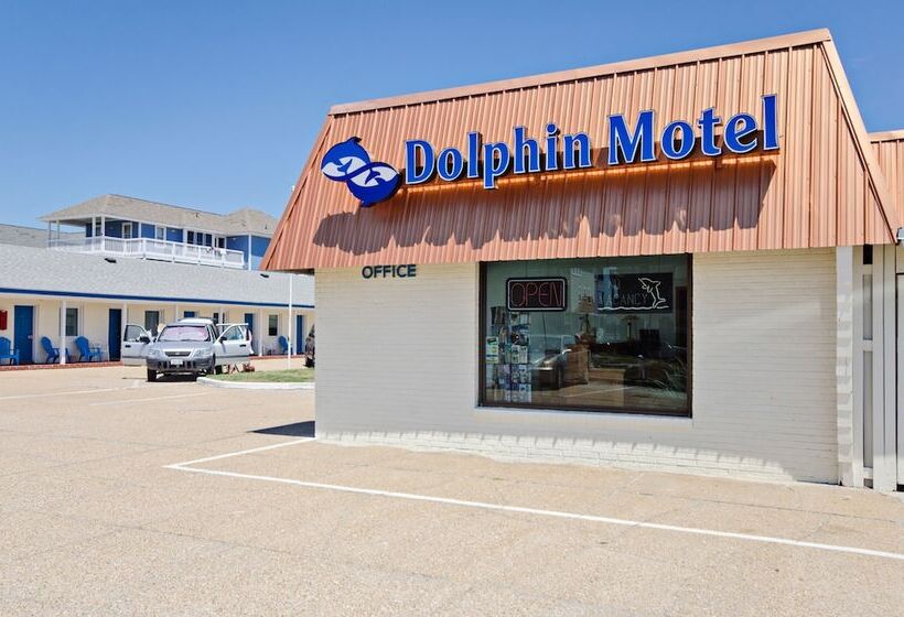 Dolphin Oceanfront Motel   Nags Head