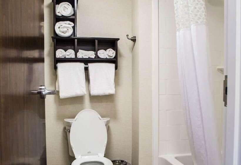 Hampton Inn & Suites Lake Placid