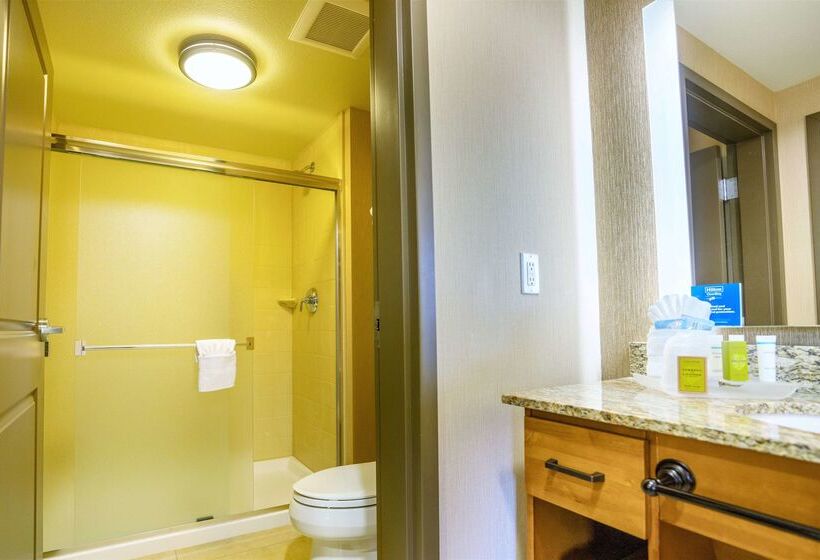 Homewood Suites By Hilton Durango, Co