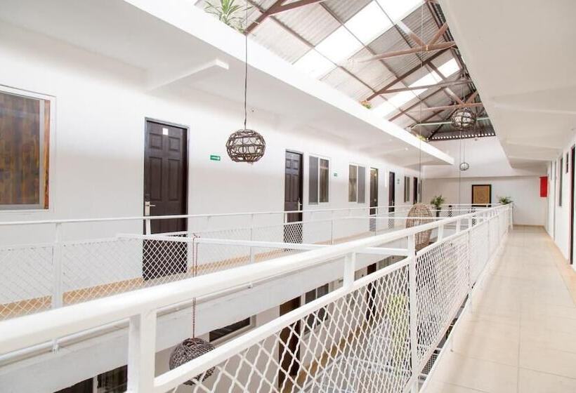 בית מלון כפרי Acapulco