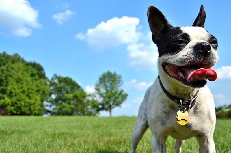 فندق Aloft Tulsa Downtown