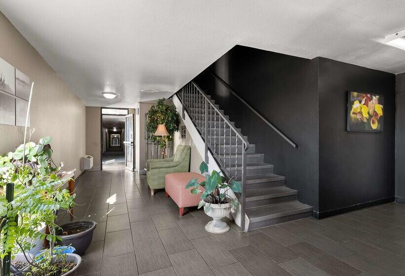 فندق Americas Best Value Inn Lincoln Airport