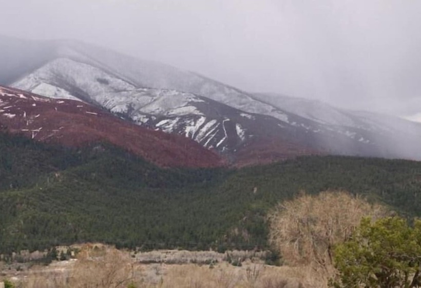 فندق Amizette Inn And Restaurant