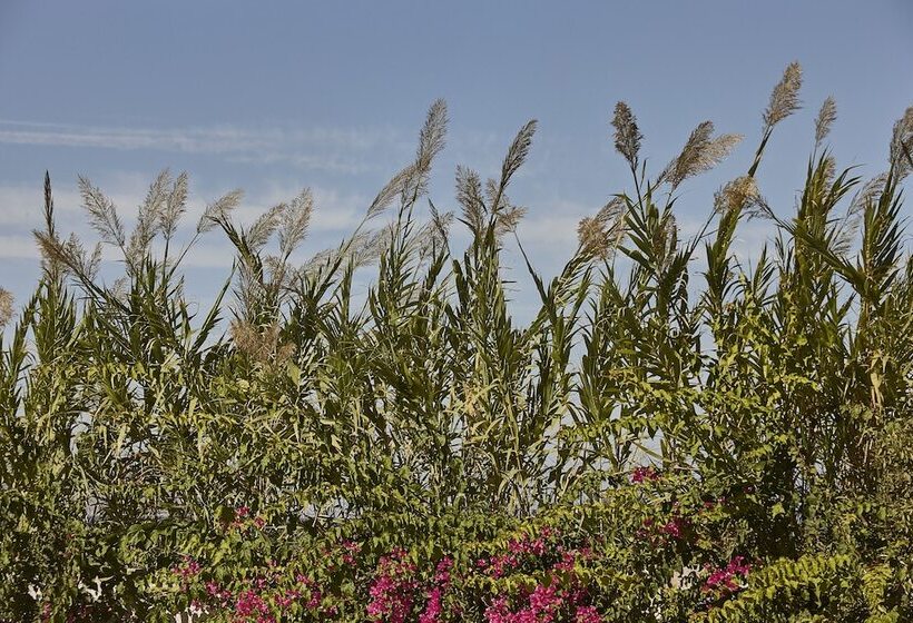 בית מלון כפרי Ammos Luxury Resort