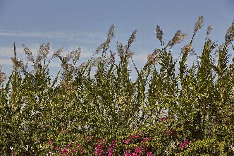 ホテル Ammos Luxury Resort