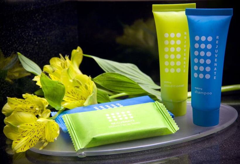 فندق Bar Harbor Manor