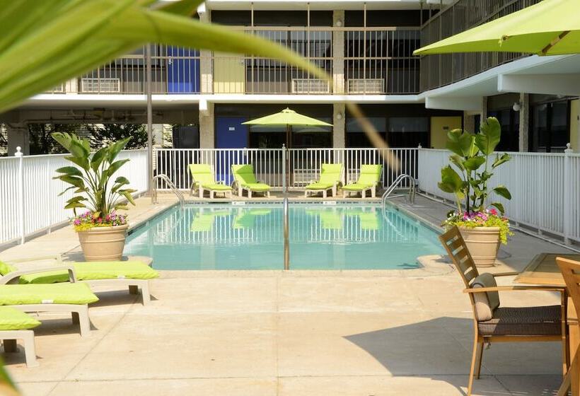 فندق Beach House Dewey