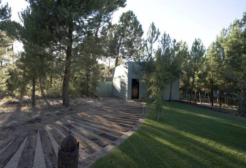 هتل Boutique Pinar