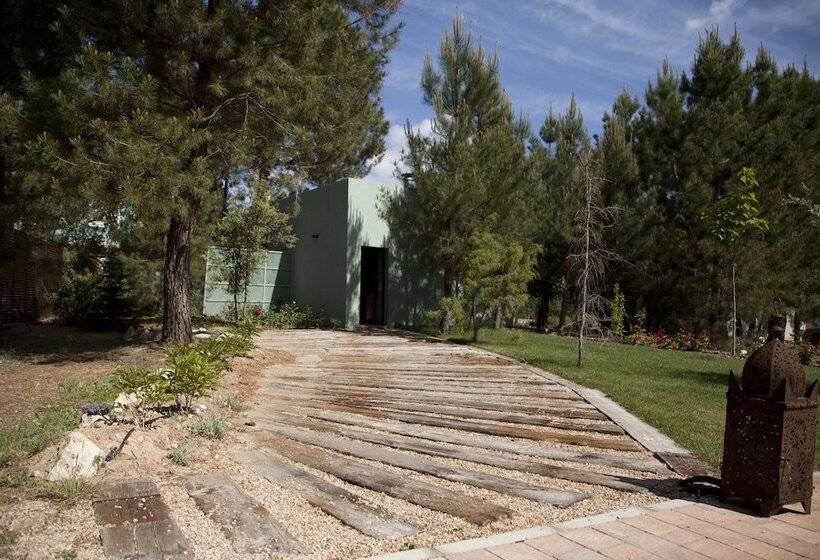 هتل Boutique Pinar