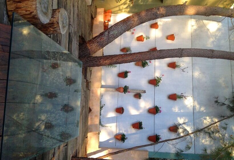 هتل Boutique Pinar